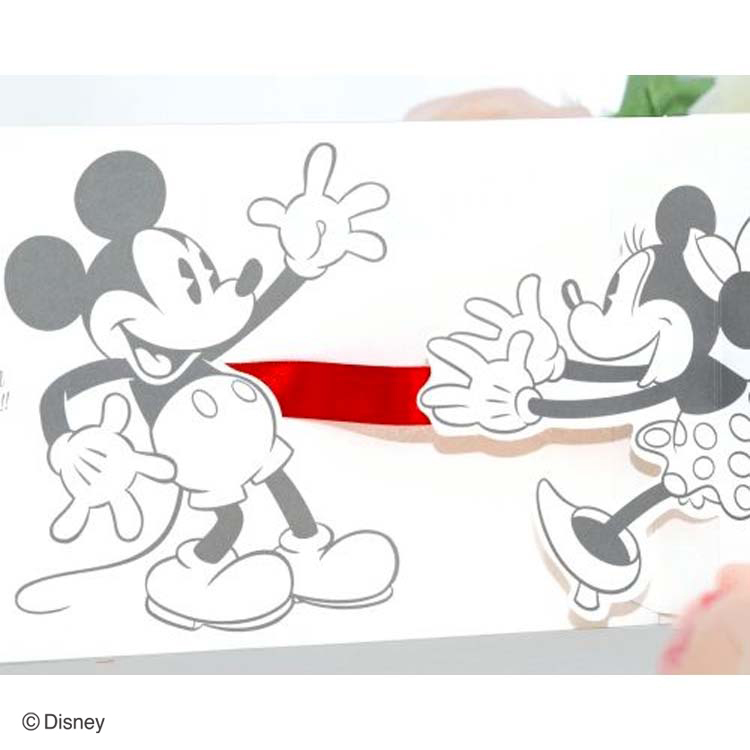 ☆ミッキー様ご相談ページ☆ 【公式通販】